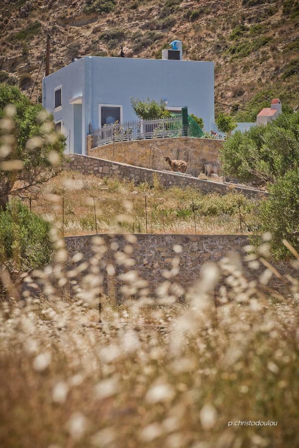 Potideon Villa Κάρπαθος Εξωτερικό φωτογραφία